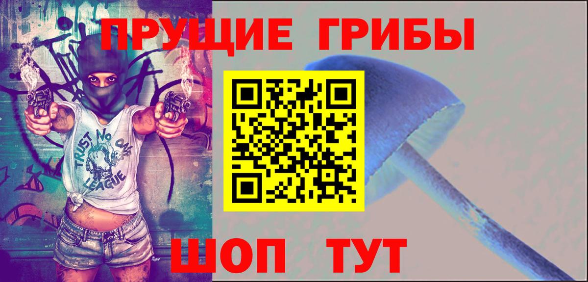 Псилоцибиновые грибы Psilocybe Богородицк