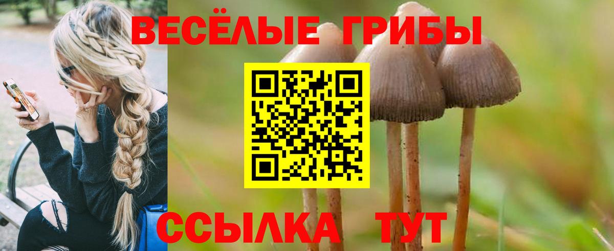 Псилоцибиновые грибы мицелий  Вход с VPN  Богородицк  Псилоцибиновые грибы прущие грибы 